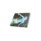 Collector’s Mini Canvas