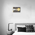 Collector’s Mini Canvas