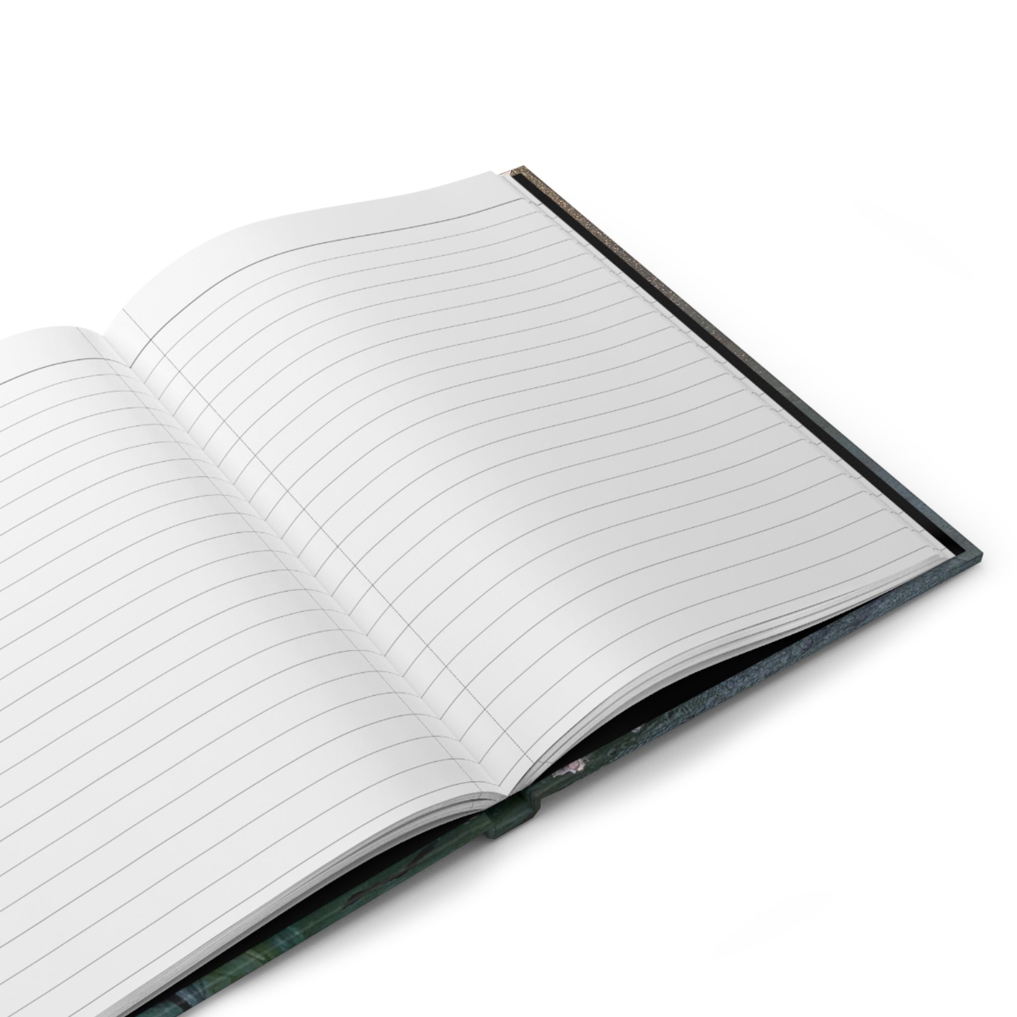 Time Keeper (Artist's Private Collection) Hardcover Journal
