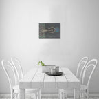 Collector’s Mini Canvas
