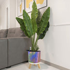 Planter Set Rendezvous