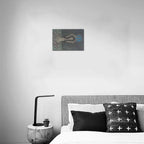 Collector’s Mini Canvas