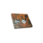 Collector’s Mini Canvas
