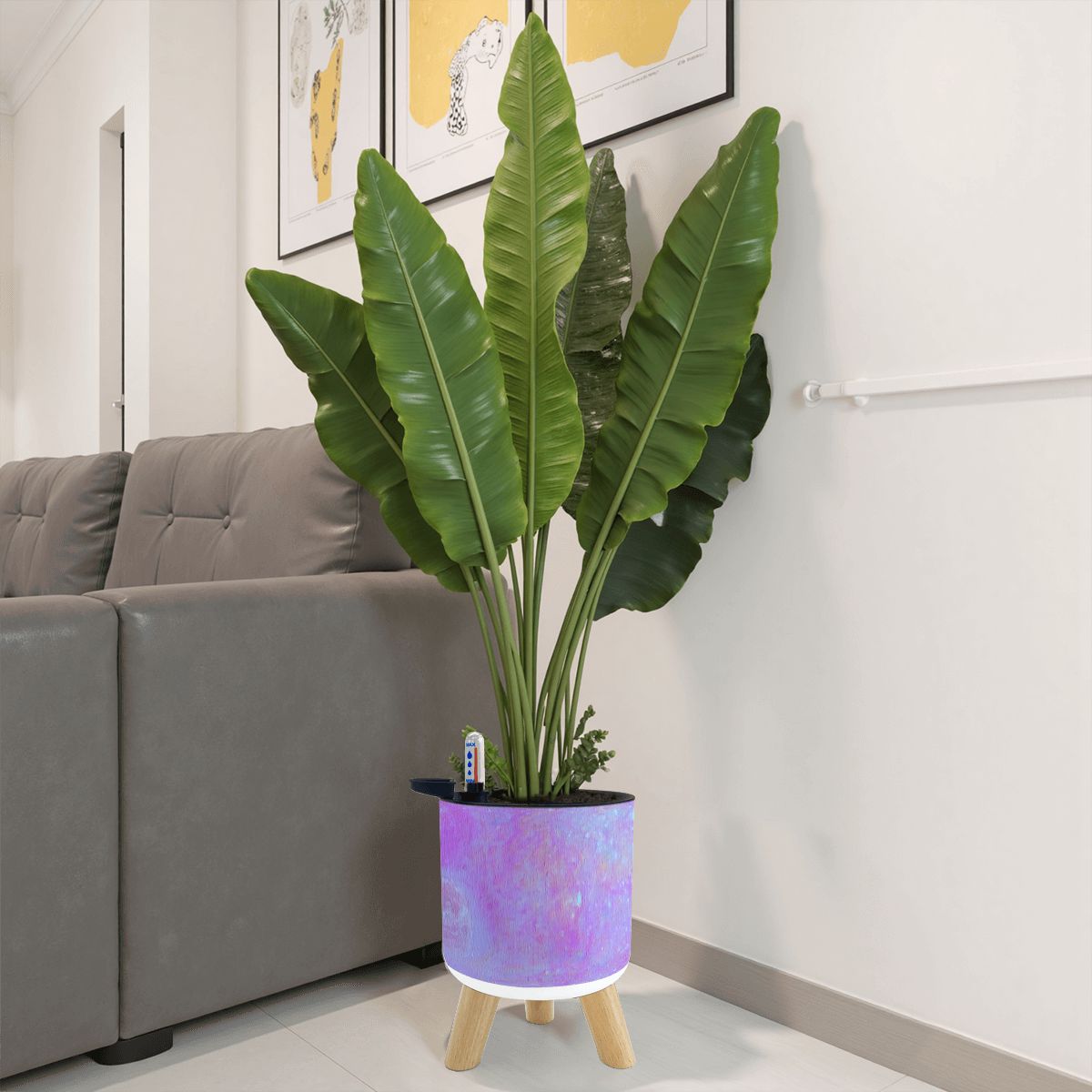 Planter Set Posterity In Pink