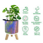 Planter Set Rendezvous